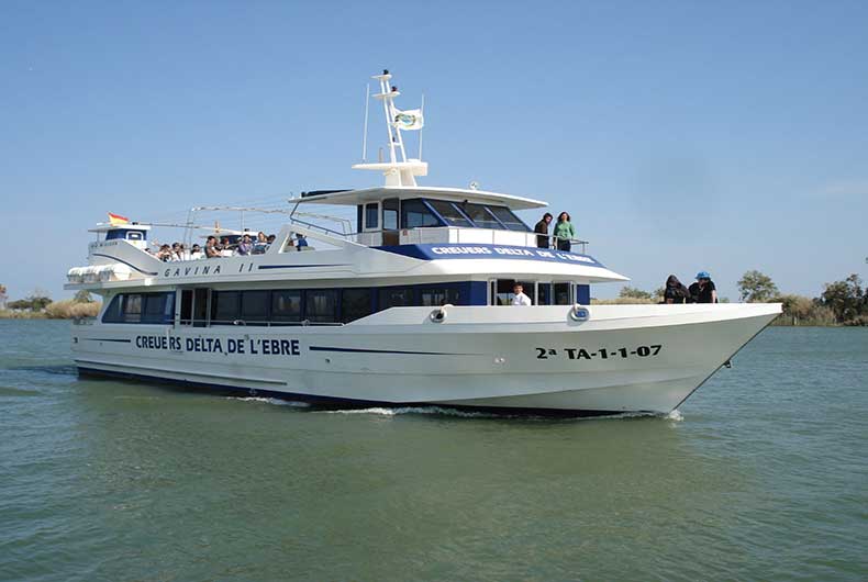 "Creuers Delta, vaixell navegant pel riu"