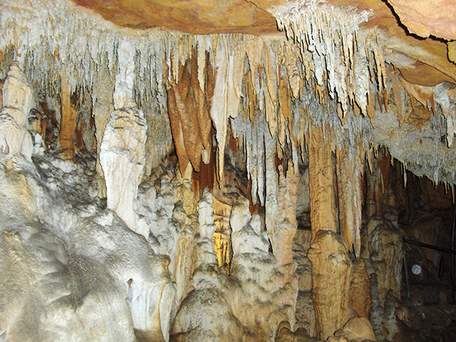 "Coves de Benifallet, formacions d'estalactites"
