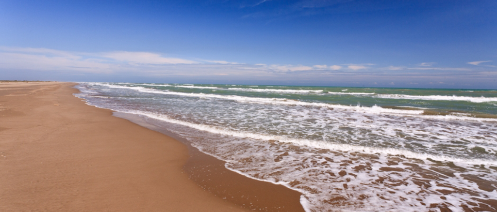 "Platja de l’Eucaliptus, platja de sorra amb onades"